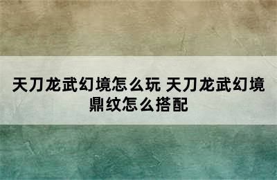 天刀龙武幻境怎么玩 天刀龙武幻境鼎纹怎么搭配